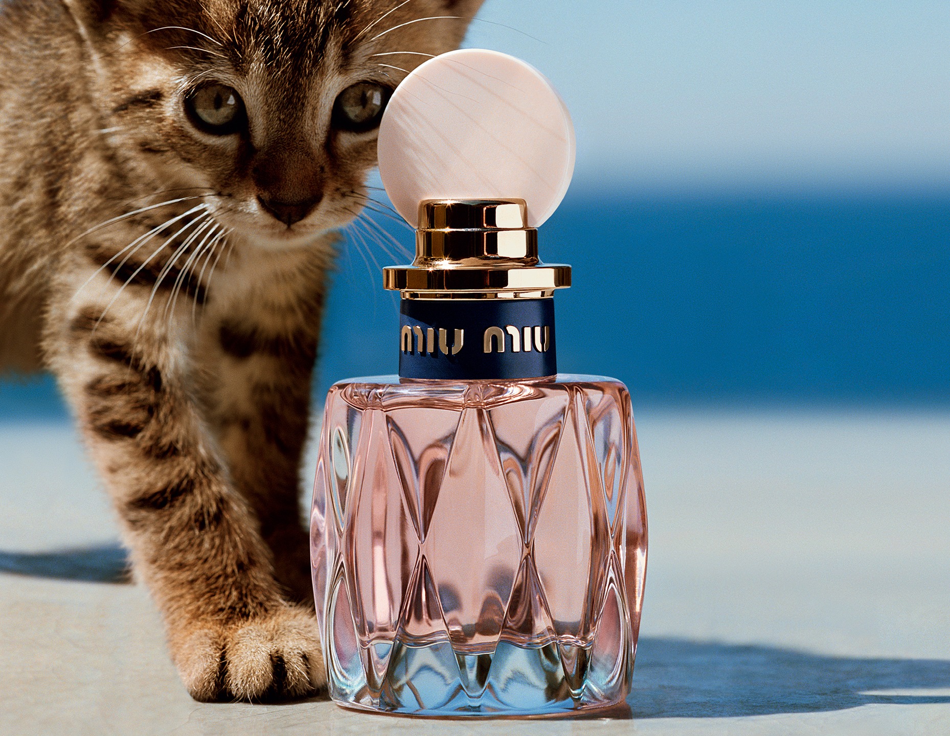 Miu miu discount l eau rosée